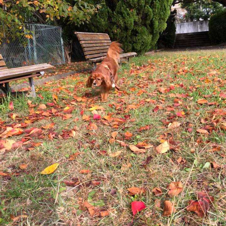 Fe3a395a 609d 43d9 8b69 11b710898cae 1604208418249