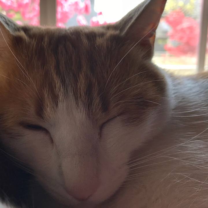 Fe3a413d 8e6b 4791 b8d8 af3775046ac8 1524280067870