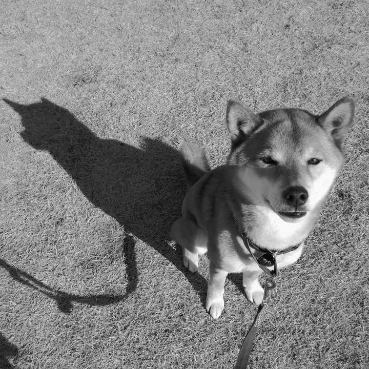 Fe3a4640 e673 4817 9286 c110dfd0451c 1614155143363