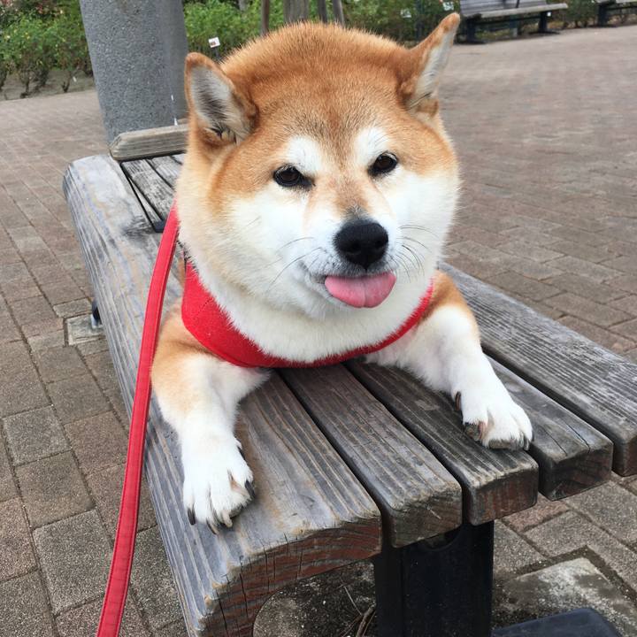 Fe3a7462 cfae 4522 8bf8 899aa3722151 1606611909242