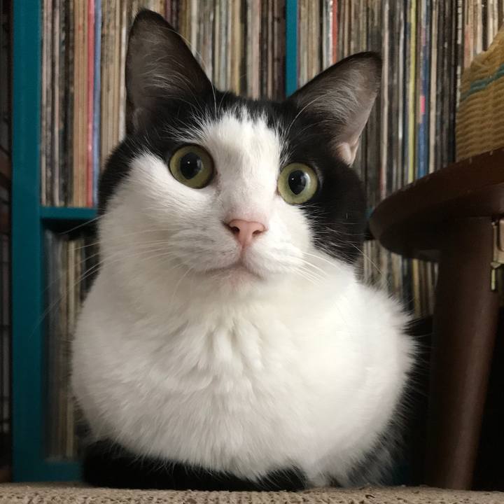 Fe3a78a7 5c77 47ef 86d9 88e37153c3c9 1551225775921