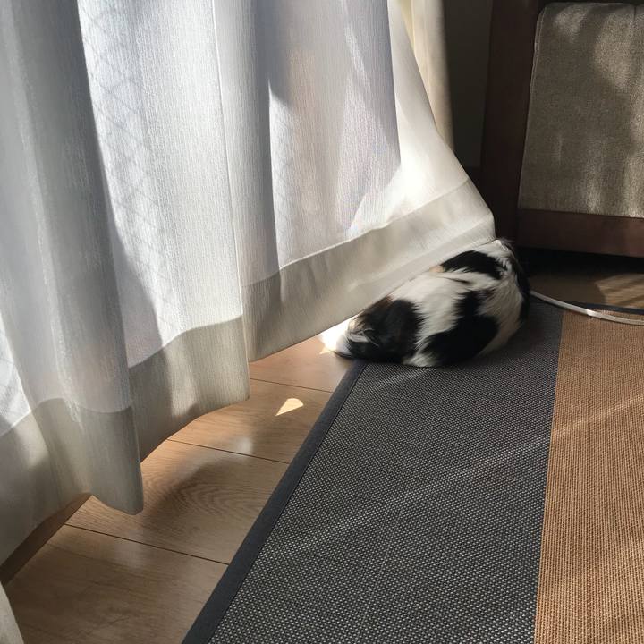 Fe3a88e9 e076 47db 811a 7d7a4fc85294 1512435753490