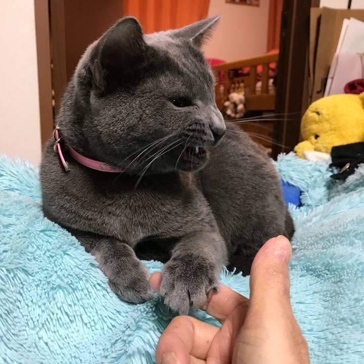 Fe3ac4dc 1e72 4ffa 8734 988c01e1b89f 1508317515845