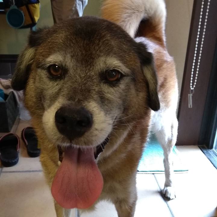 Fe3b01e7 5d45 4067 b076 09b4cbbeae0b 1567227864964