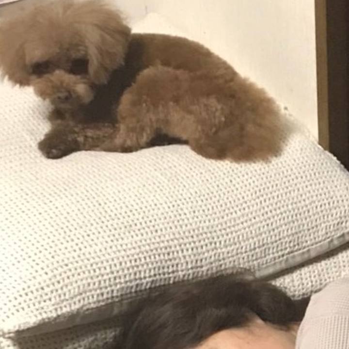 Fe3b06e9 a06d 40dc 9add 196fe67eabd0 1603061465580