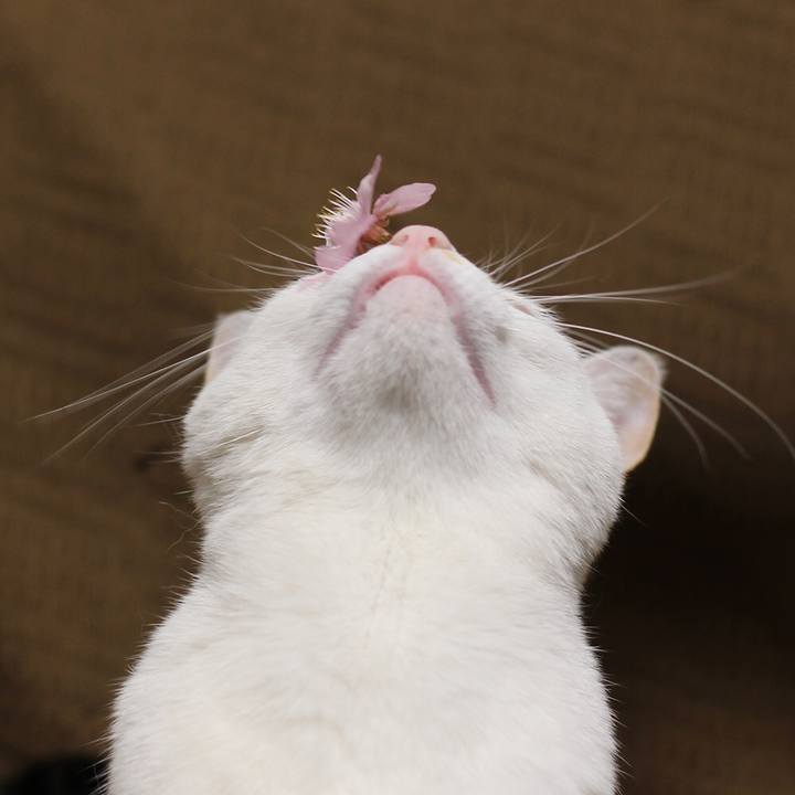 Fe3b41be 6666 4f30 b324 d313f4aadb35 1584419698100