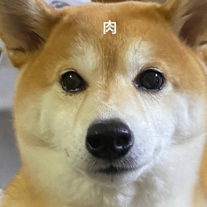 Fe3b4d1d 5ffe 4375 ab0b 9940623951dd 1605276665573