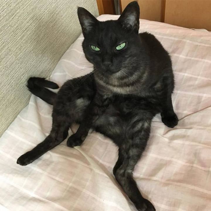 Fe3b62d3 face 4b09 a7f9 8f432d08e92f 1563744194628