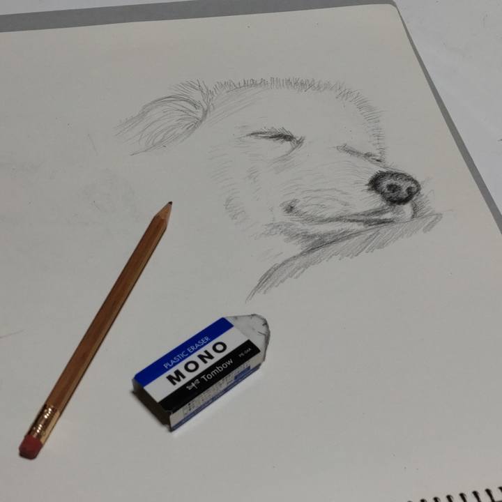 Fe3bc505 ed8a 422f 8b56 ede77b691d8d 1652708828326