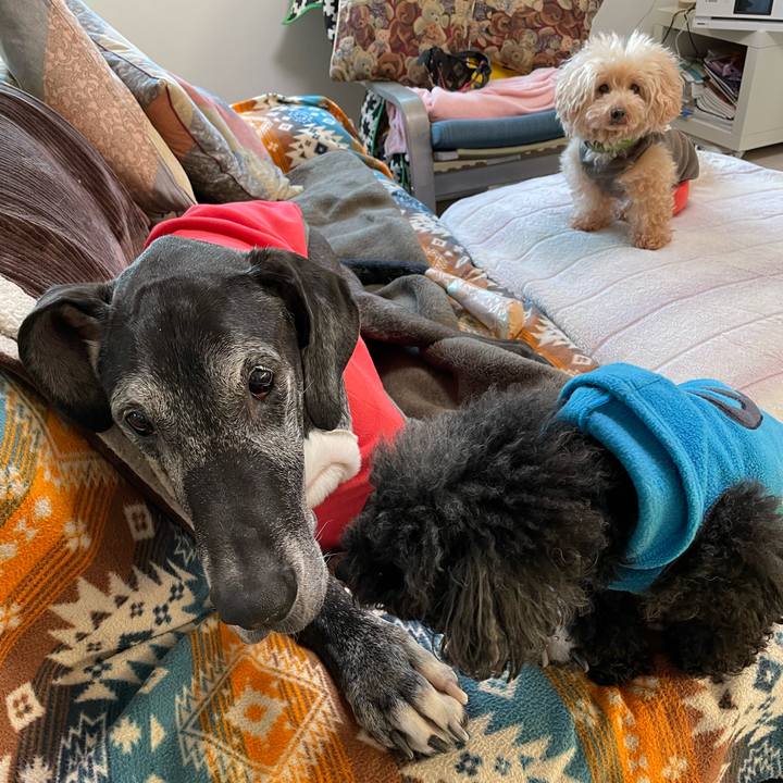 Fe3bedea 46c3 488f b9f3 ddc9a6557ecd 1640128515715