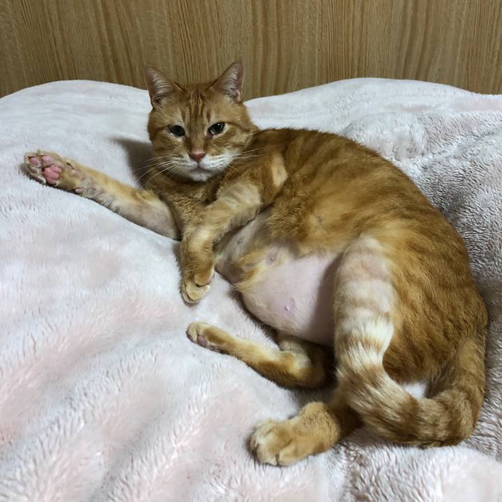 Fe3bf5e1 c68c 4418 a581 c11b9593e39f 1707945157641