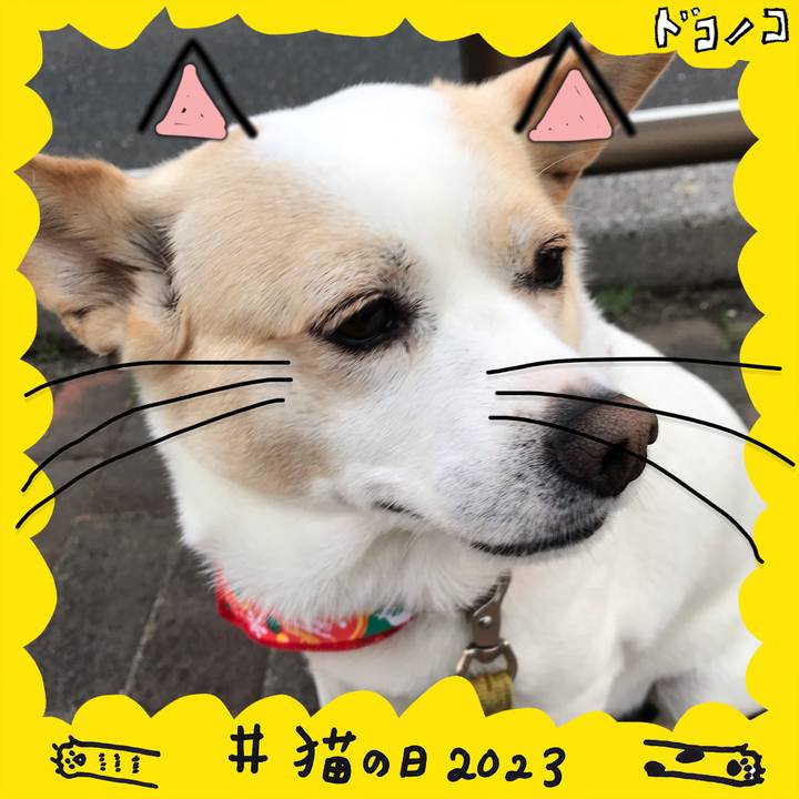 Fe3c087d 1193 4745 b6cb 9b6477184566 1677107531471