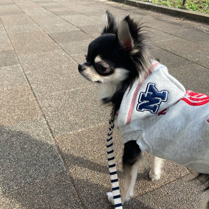 Fe3c38e2 8240 49f7 8ff1 f8efc7216972 1607744403902