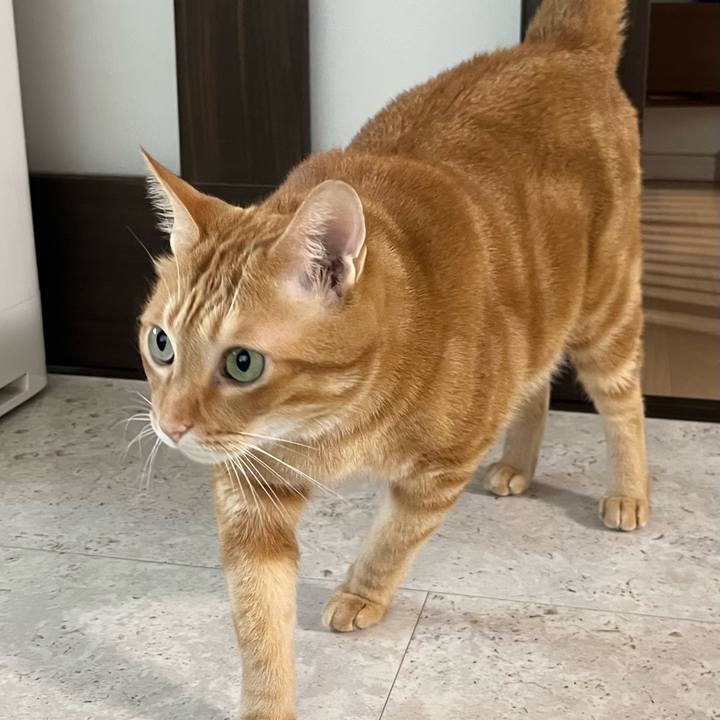 Fe3c8d84 0a38 4714 8cd2 7283c0948e54 1704094997432