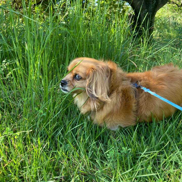 Fe3cb982 c858 4619 a2e2 ea06a15c3f07 1597365044671