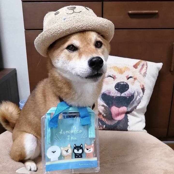 Fe3cba0d bd96 4392 8105 fec61e64dd45 1595656105608