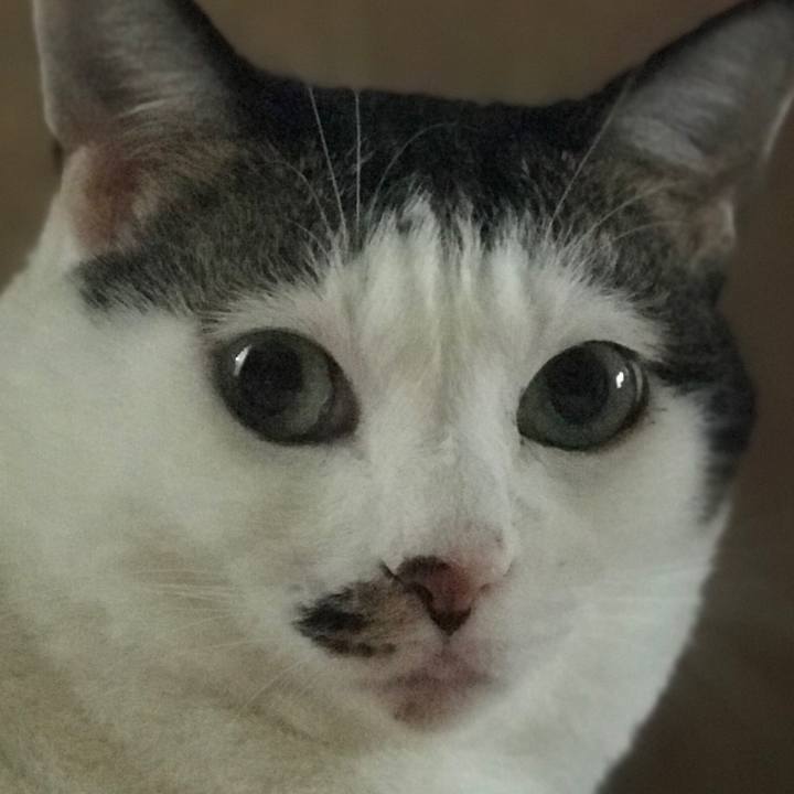 Fe3d01c8 523b 4594 9390 523c857f0928 1666993663897