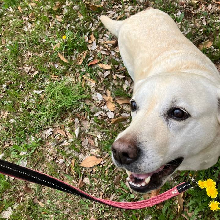 Fe3d1b69 8edc 4fca bd00 286c29d17d3f 1680065446042