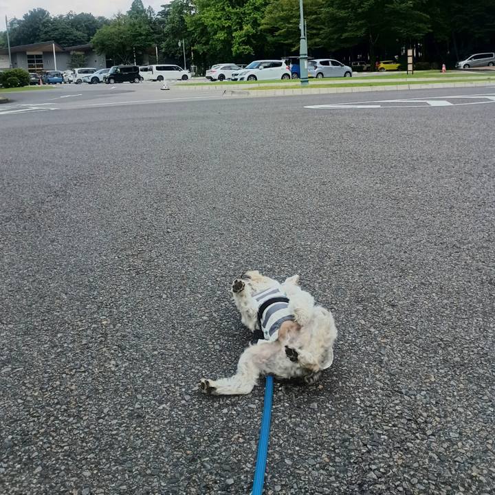 Fe3d252f 58a6 4646 95a2 0b931a4f0f35 1784031601585