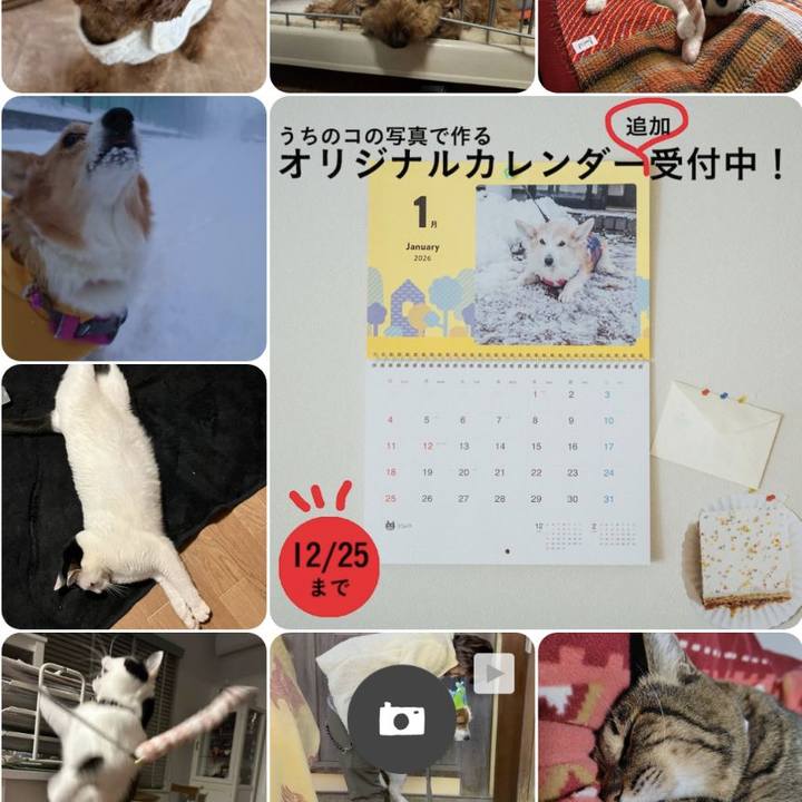 Fe3d2e18 eb5a 4c07 b485 601b95b25a4f 1765495275641