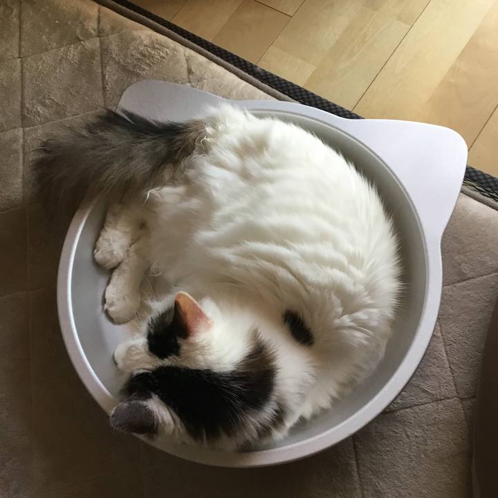 Fe3d3829 d72e 48ea 902d b9162d956908 1573182550508