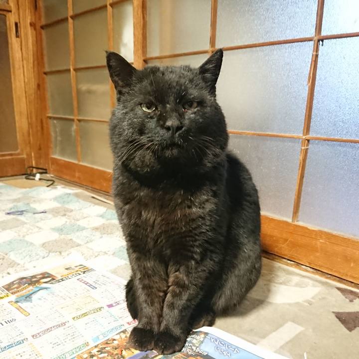 Fe3d3f9c 6847 4524 ae86 fc165b0885df 1650101842955