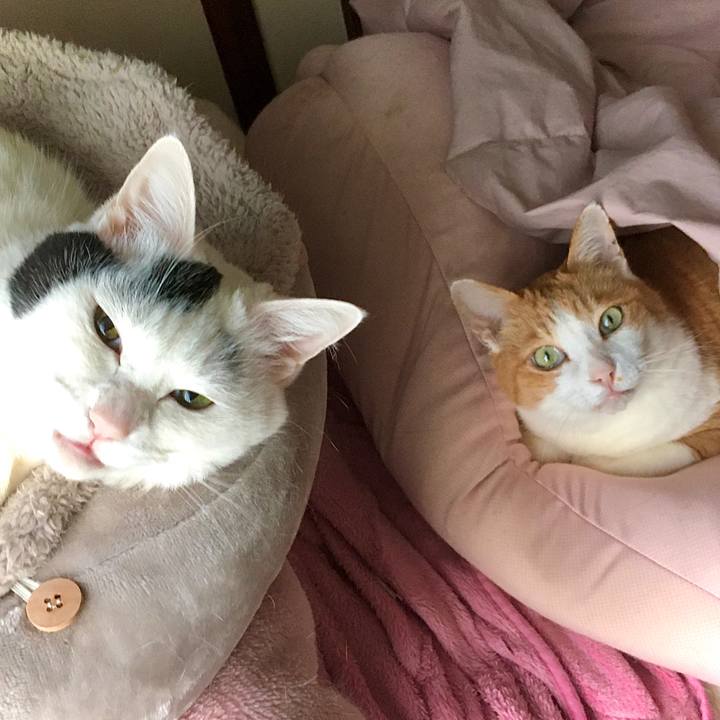 Fe3d563f 9de2 4053 a8f8 35f4faecb969 1616141410486