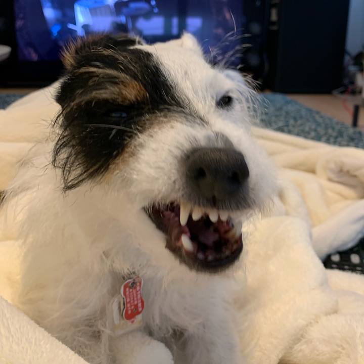 Fe3d6e29 f3fd 40b2 92c1 420886a2cb9f 1615618594391