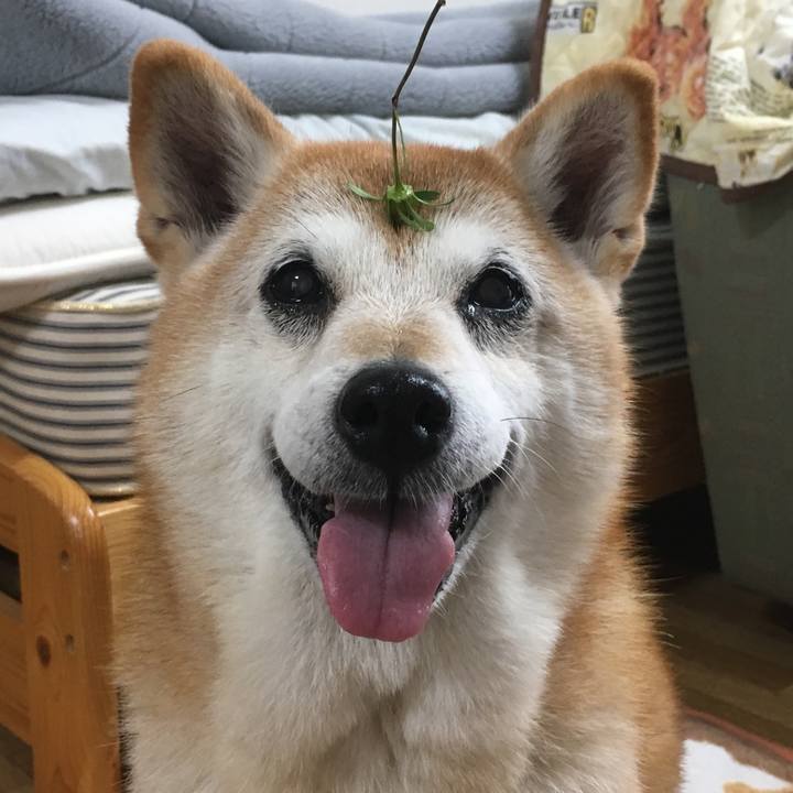 Fe3d8491 941e 45ab b8c3 71733375d617 1538611295257