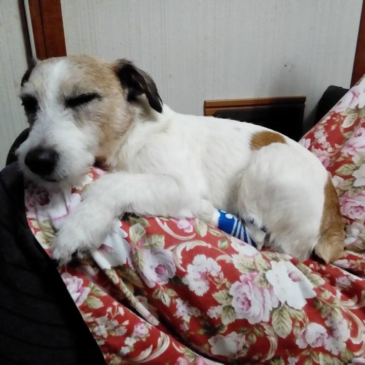 Fe3d962c b183 435c a132 3672763e4cc8 1544096999251