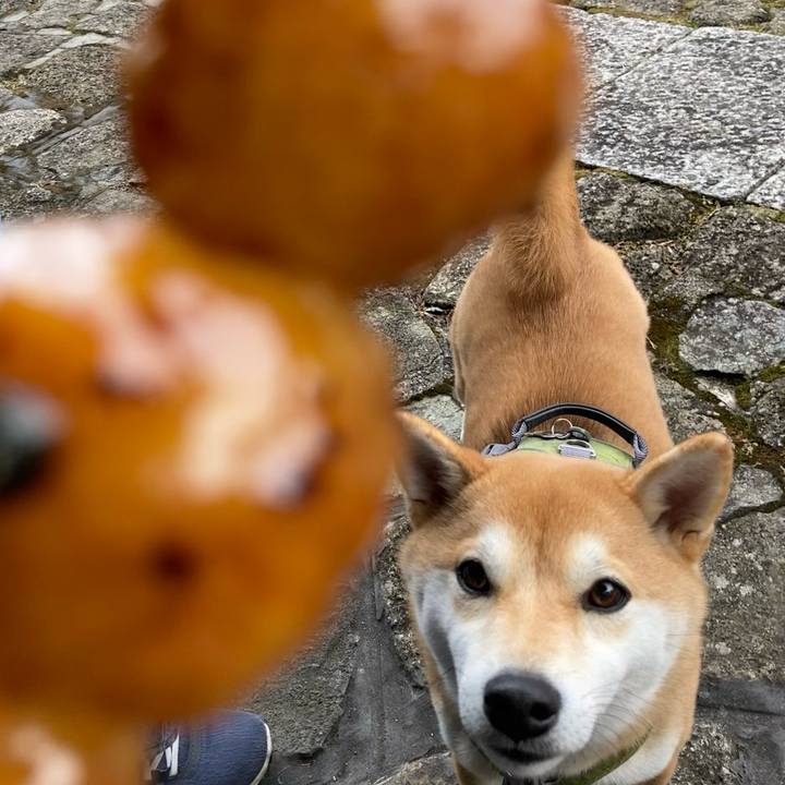 Fe3d9b21 de96 4ddc a188 2947824eb2ab 1676329001783