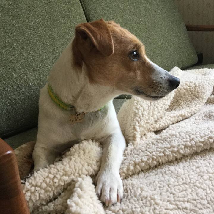 Fe3db3c1 588f 405b af55 939989086f86 1556060248632