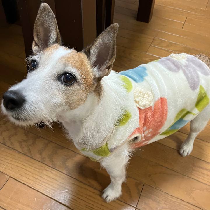 Fe3ddd6b ef88 460a 9cbd 30cda073478b 1699659175508