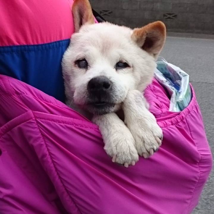 Fe3df101 f475 4403 9ad8 d9da254b8a6a 1526183670640