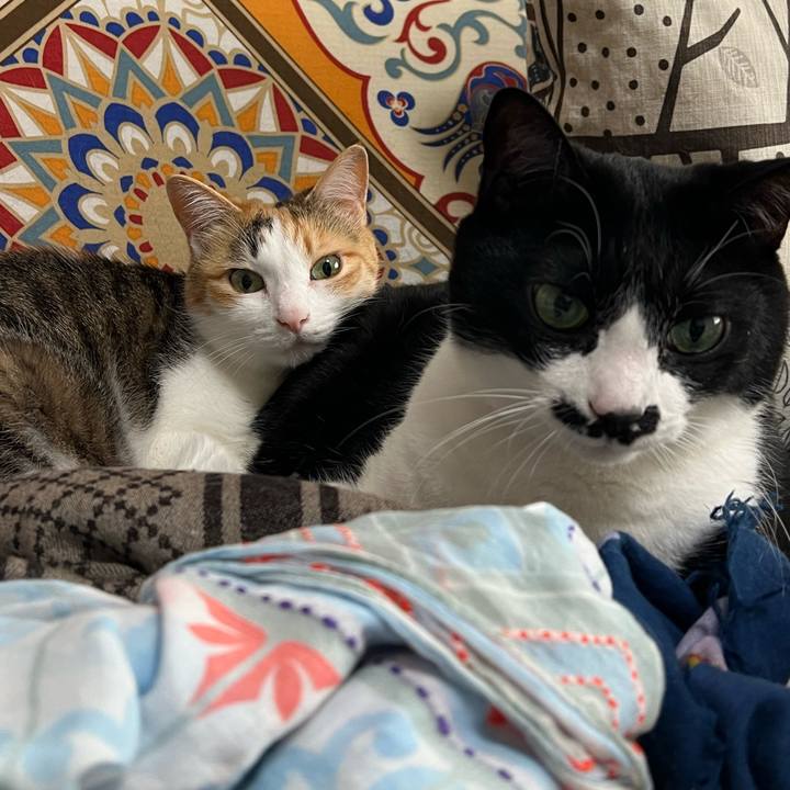 Fe3df6af e2db 4720 97b9 fc88c3222eb7 1776329346383