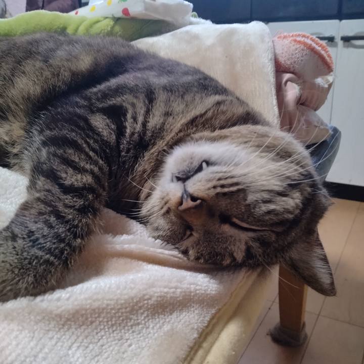 Fe3e3a4c cfb8 4ae1 968b c8807c2d43f5 1677974225112