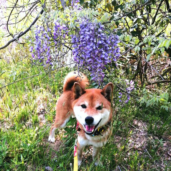 Fe3e45dc 65ef 49c9 99f5 f4a20f44bd03 1588231669656