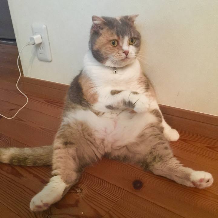 Fe3e52e1 b24c 49e8 bc0a ea98c2603421 1551347187674