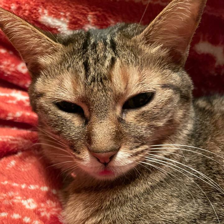 Fe3e7c4a b297 423e 9258 2972a88cd485 1638716511592