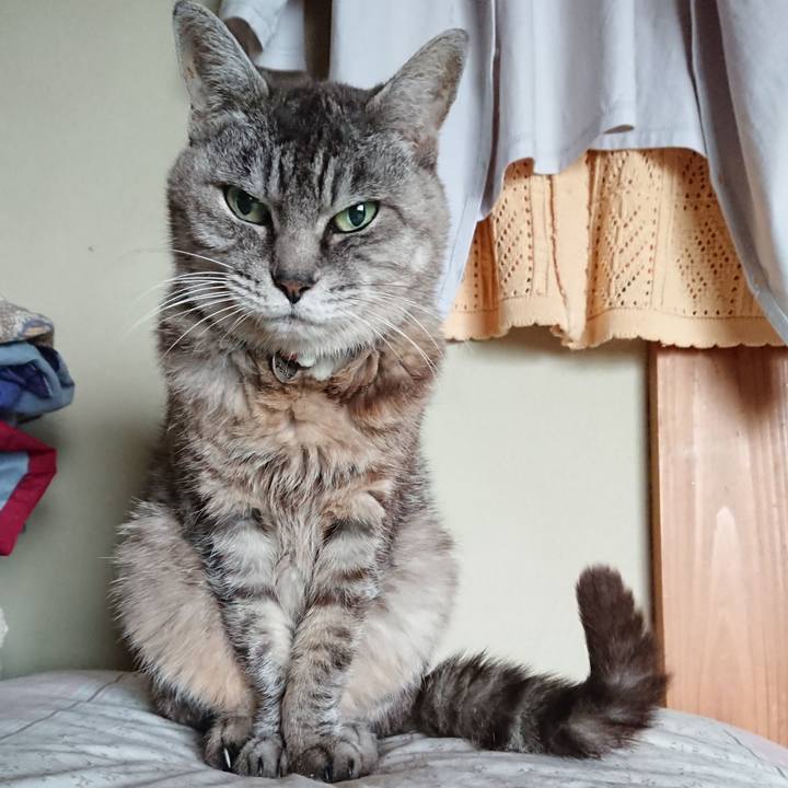 Fe3e9191 fc8b 42cb be91 15b3d00dc386 1569912958256