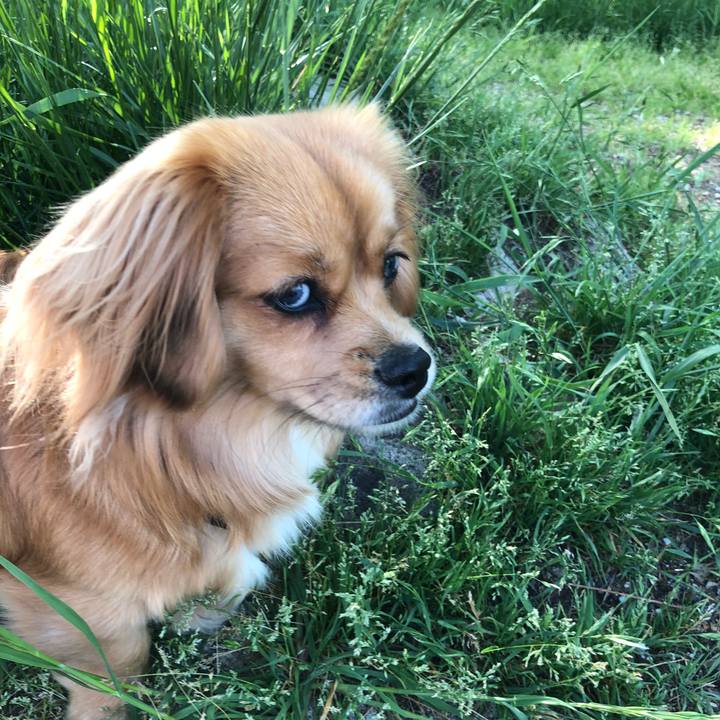 Fe3e9b42 54c8 4e41 b4e9 a4b380ecd417 1524958751284