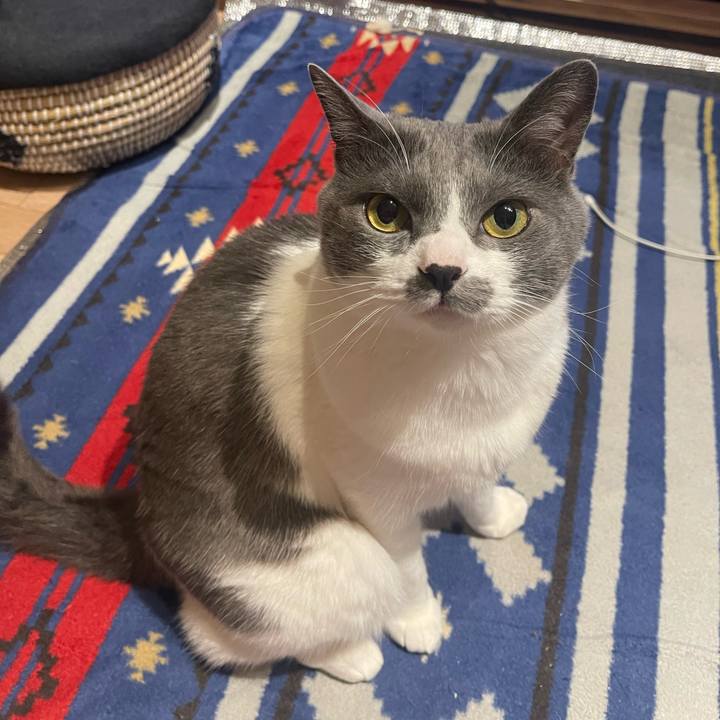 Fe3eaa93 9874 4927 a023 cfd161c4cf12 1684761794213