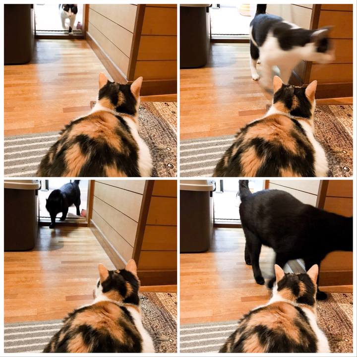 Fe3ed26c 3323 4628 9efb a2f2e3674803 1522767331196