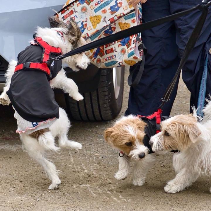 Fe3ee032 8b09 4c5b b867 bf0314e27d01 1763906770492