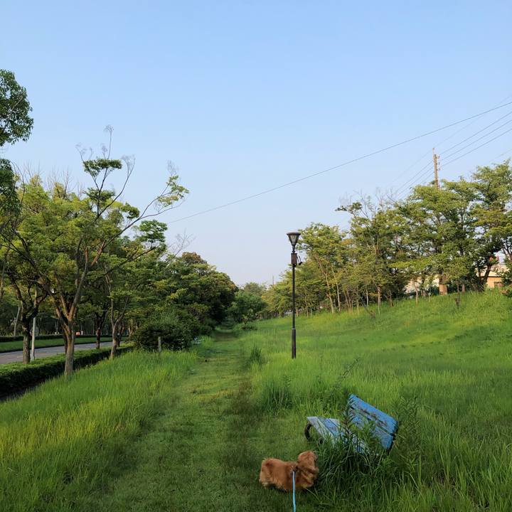 Fe3f09da 6358 43bc 998b e3f47414a7c7 1564609010753