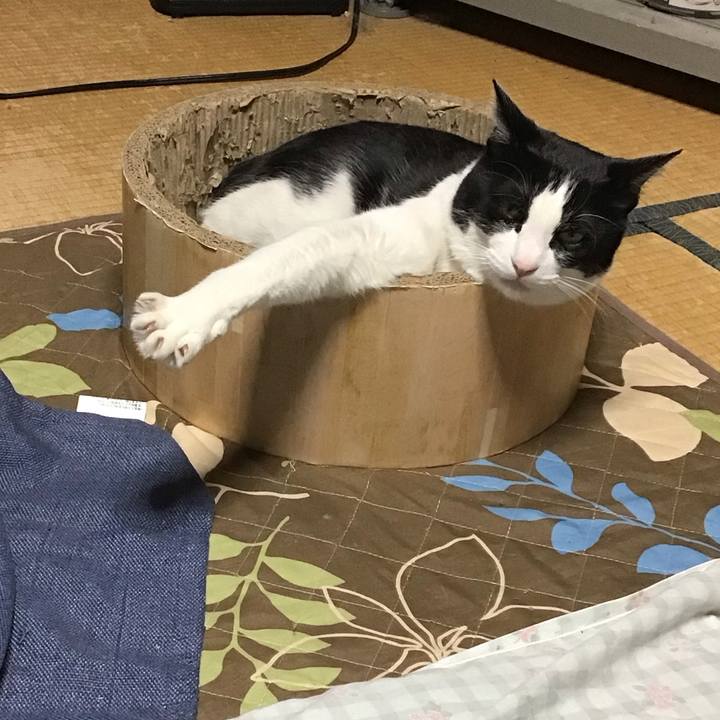 Fe3f38c2 0b4d 44d0 b056 f67d5a715c39 1743332743700