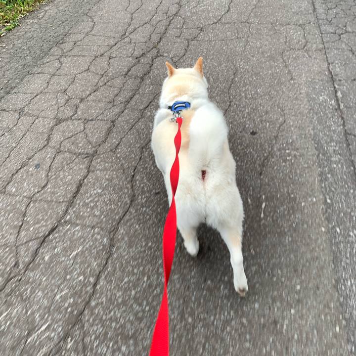 Fe3f6c2e e6a9 4144 b793 c4bfa52b57bc 1631915685649