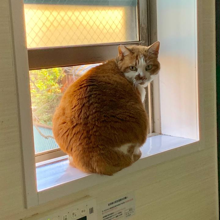 Fe3f8b86 0e95 4acd 9a02 12235826930d 1582722772744