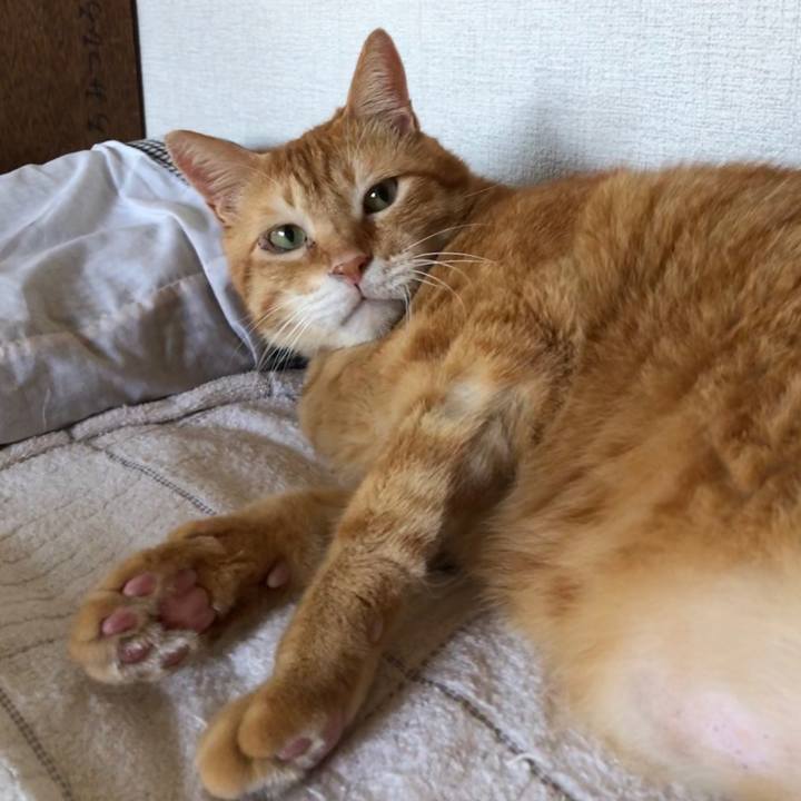 Fe3ff8ee a321 4398 a825 9b475ef967bb 1597134686498