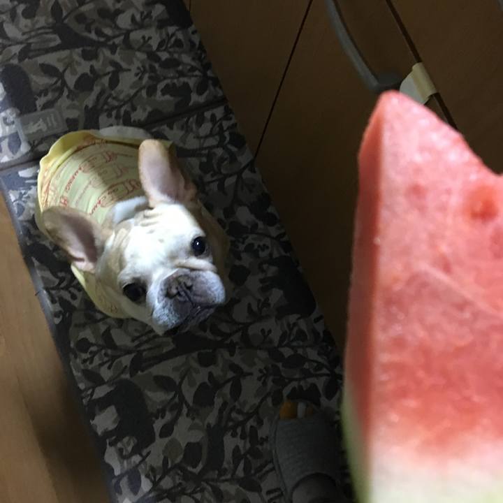 Fe400e73 92ba 475a af92 4a279a6a9737 1527587206437